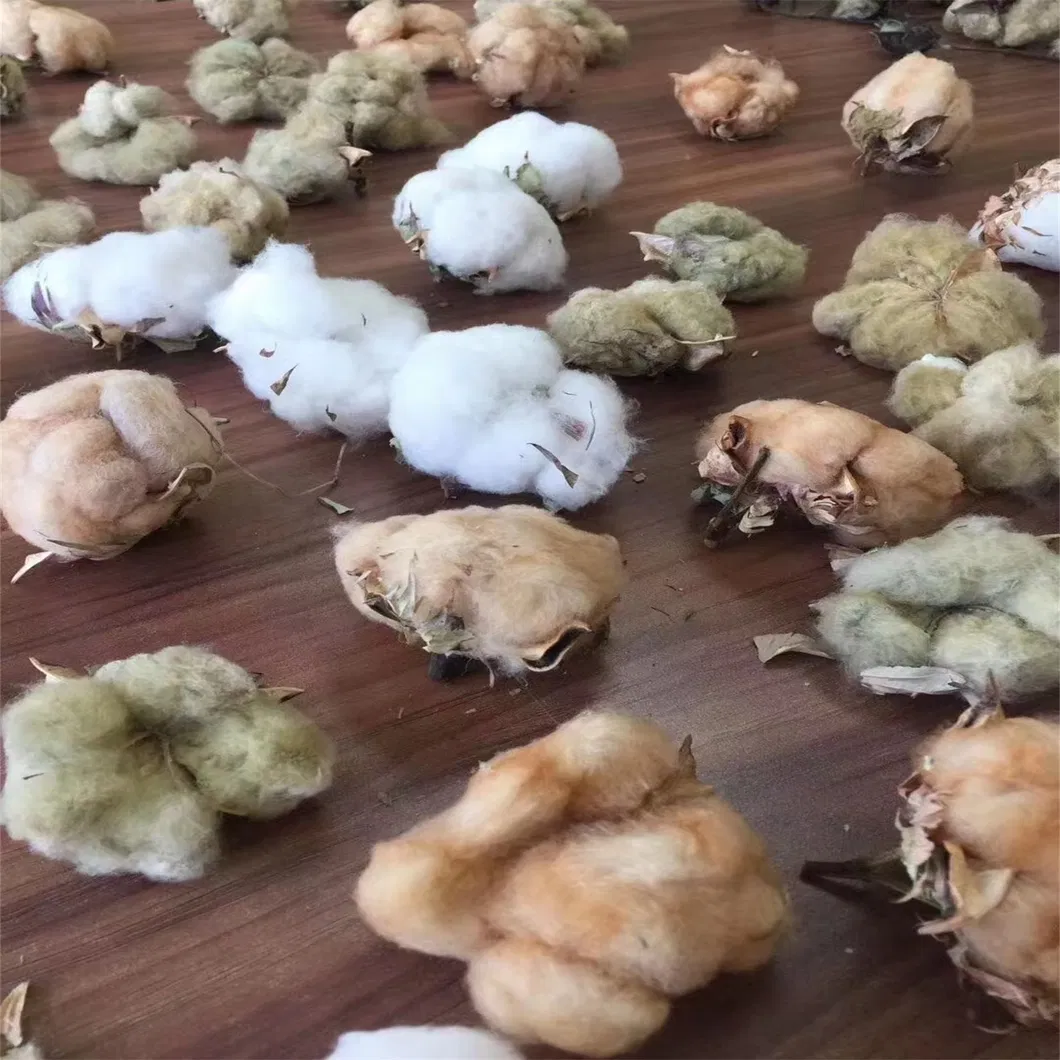 100% DuPont Sorona Ptt DTY Yarn