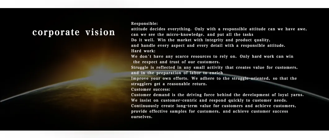 100% Rayon Two Kinds of Segment Dyed Yarn Colors-R009