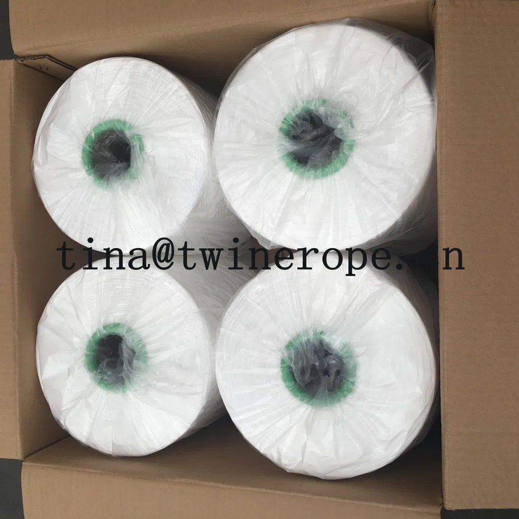 1000d PP Twisted Yarn for Sewing