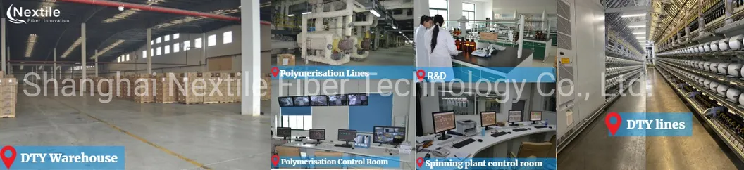 100% Recycled Polyester PBT Yarn in Flat POY and Textured; PBT FDY; PBT DTY