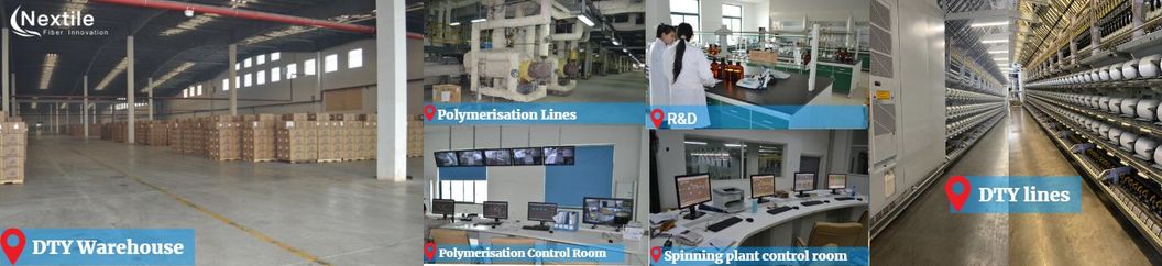 66D/24f Ddb FDY SD 100% Polyester Dope Dyed Black Yarn