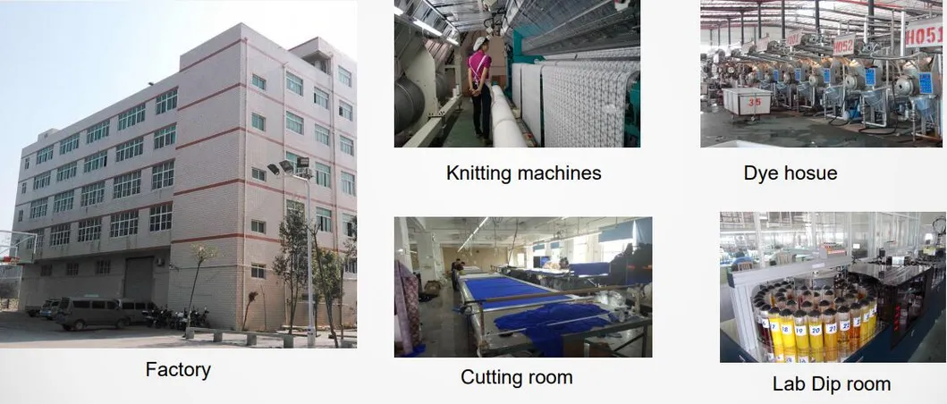 90% Nylon 10% Spandex Stretch Warp Knitting Swiss Lace Trimmings for Gown