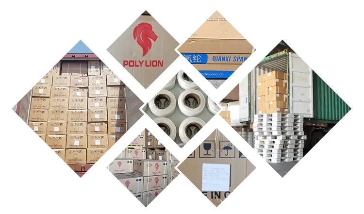 Acy 200/96 +70 High Quality Weaving Material Nylon or Polyester Spandex Air Covered Yarn with Best Price