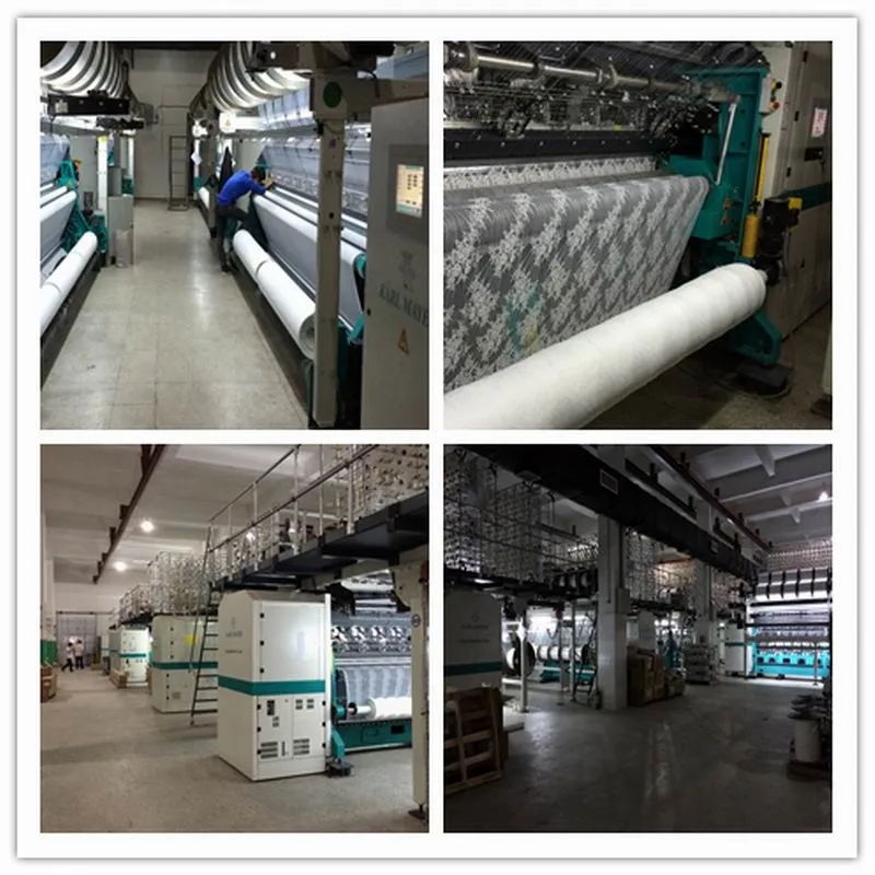 High Quality Blace Cord Lace Fabric (M2157-1)