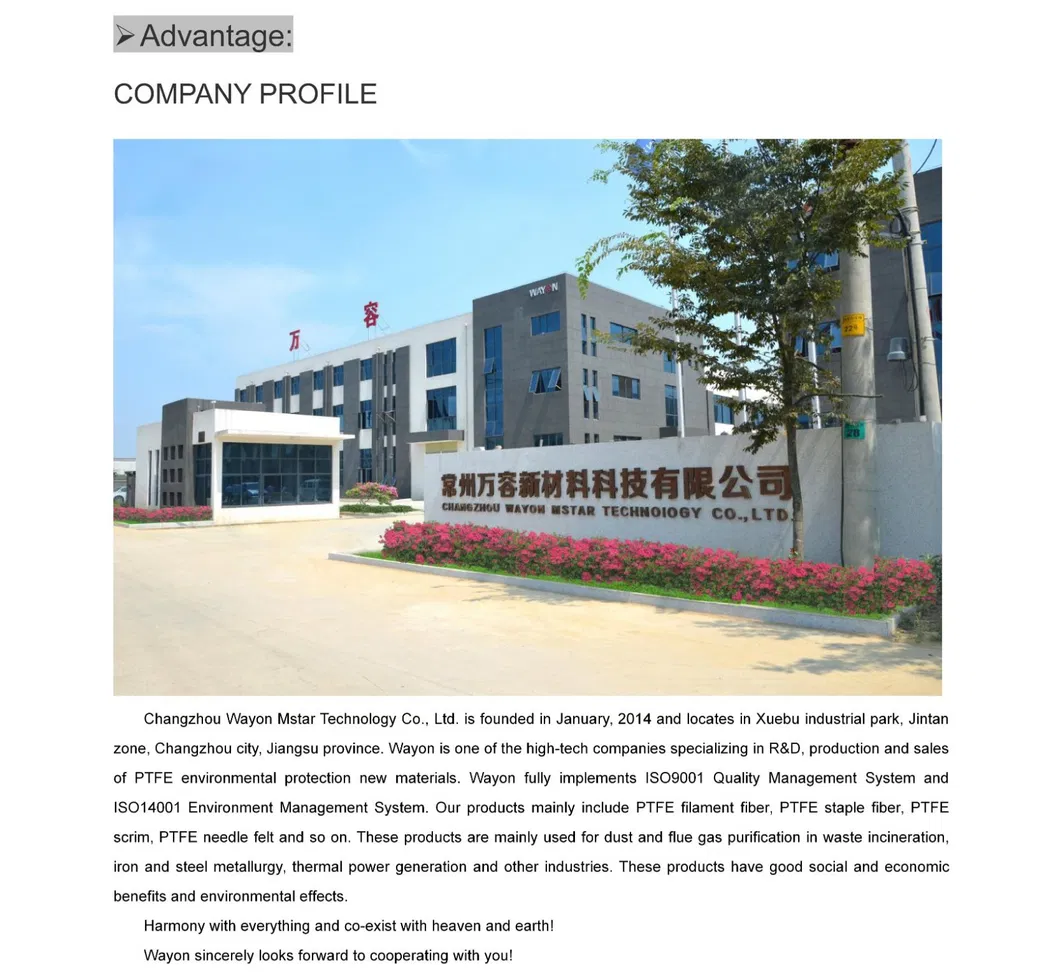 High Temperature Resistance Low Shrinkage Ptfeteflon Filament Fiber