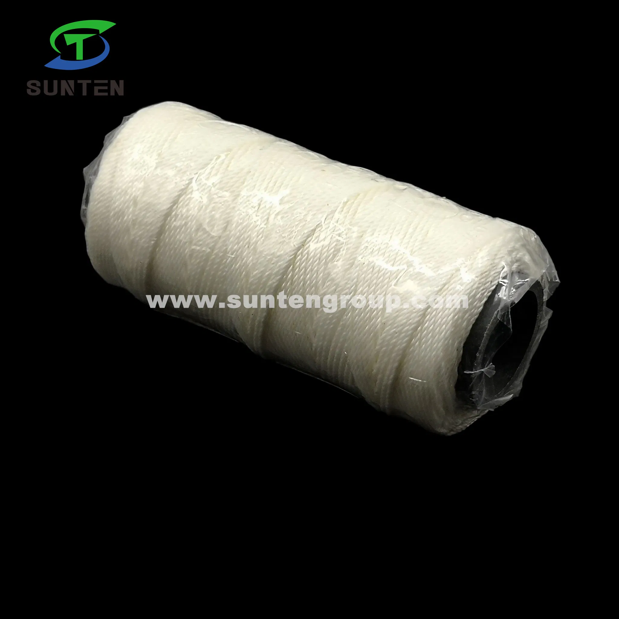 High Tenacity PE/PP/Polyester/Nylon Plastic Twisted/Braided Multi-Filament/Baler/Thread/Packing Line/Fishing/Fish Net String (210D/ 380D )