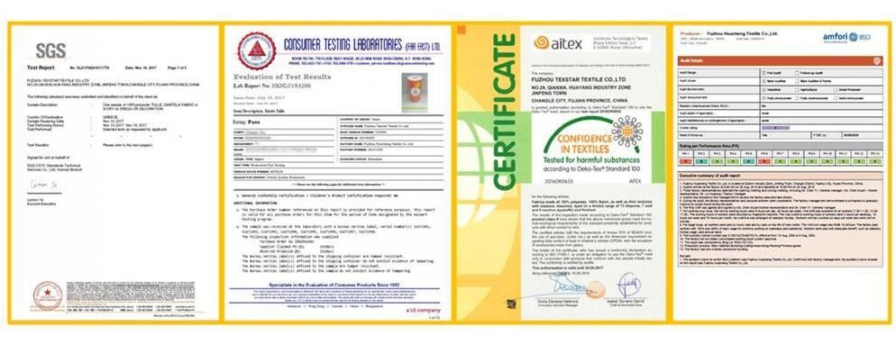 Nylon Spandex Batten Burg Lace Trim for Lingerie