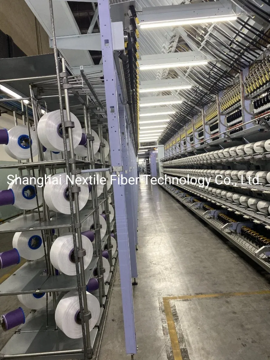 Polyester Yarn DTY 250d/96f Him Flame Retardant (FR) Ddb for Black-out Cloth