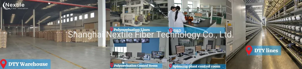 Polyester Yarn DTY 300d/576f Flame Retardant (FR) SD RW 6500ppm