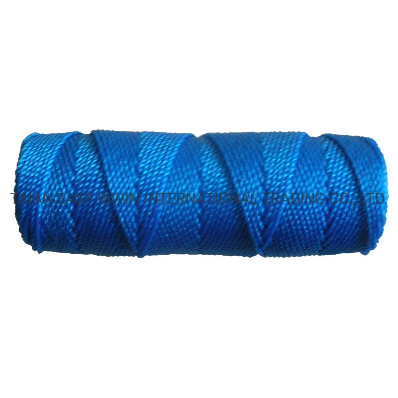 Polyethylene Twisted Twine with Factory Price