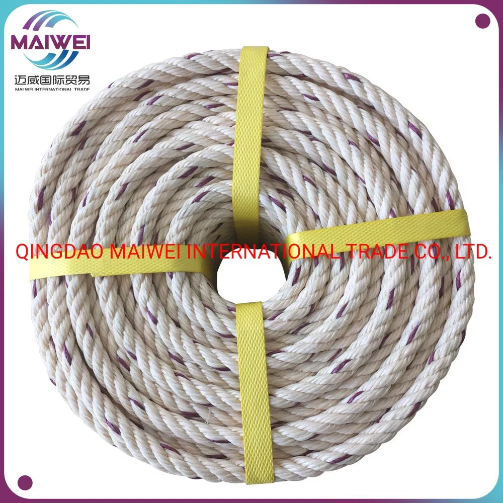 PP Danline Rope 3&4 Strands Polypropylene/PP Rope