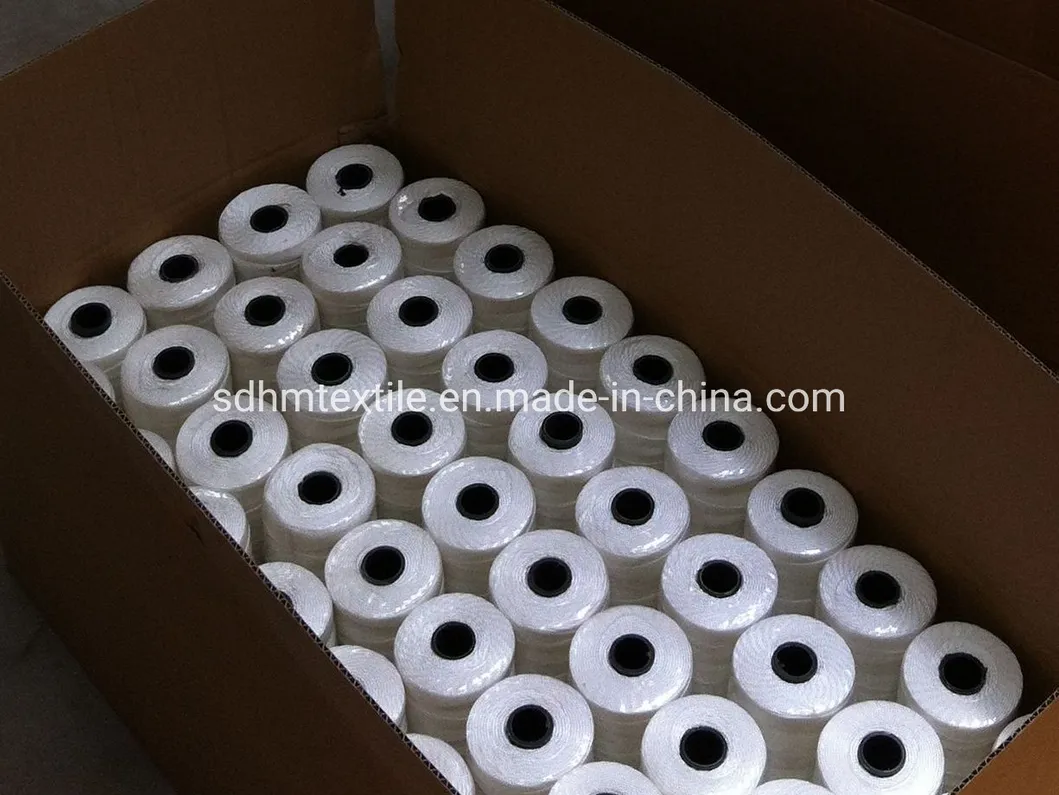PP Multifilament Twine PP Twine Nylon Twine 140g/Spool 210d/36ply Packing Twine