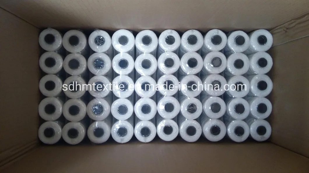 PP Multifilament Twine PP Twine Nylon Twine 140g/Spool 210d/36ply Packing Twine