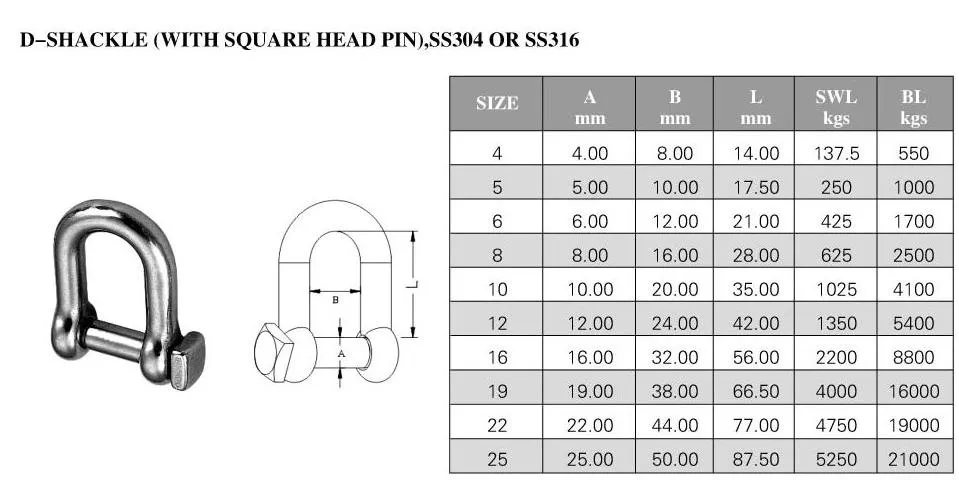Stainless Steel Shackle Rigging Hardware U-Type