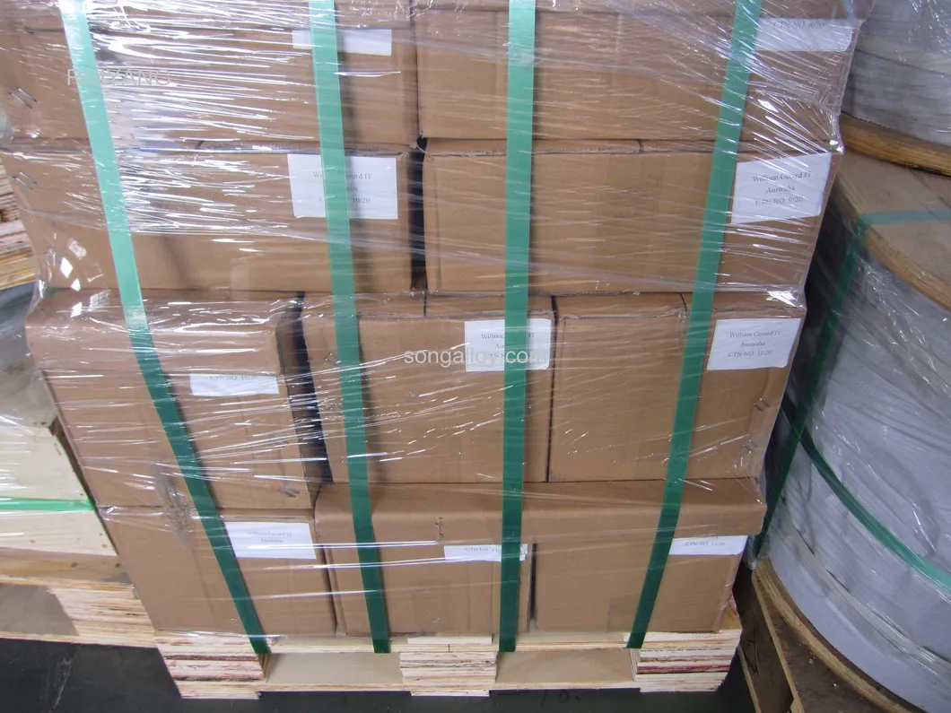 Stainless Steel Shackle Rigging Hardware U-Type